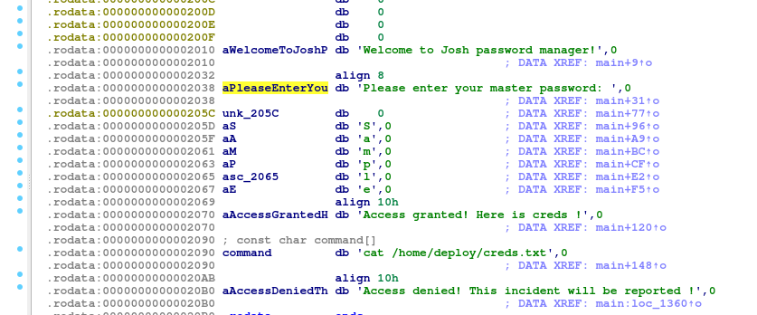 Screenshot of the IDA64 output